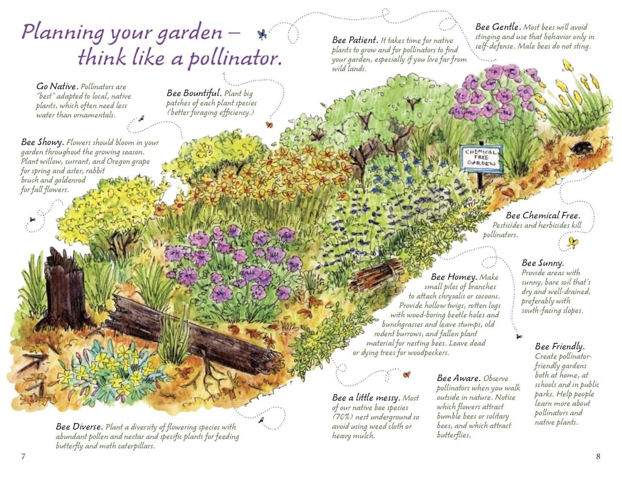 Creating a Pollinator-Friendly Garden With Hydrangea Companions