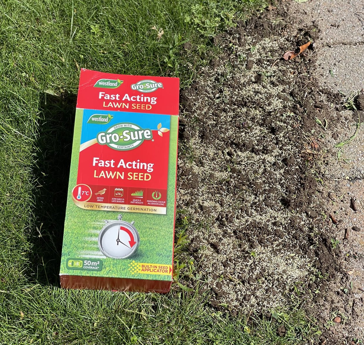 The Best Month to Sow Grass Seed in the UK for Fast Germination!