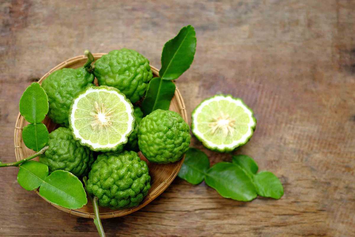 Mastering Kaffir Lime Leaf: Essential Cooking Tips