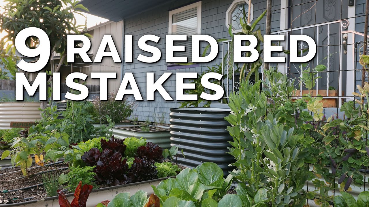 Raised Bed Gardening: What Not to Grow